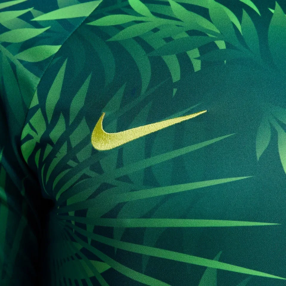 Nike  |Brazil Academy Pro