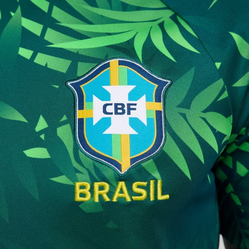 Nike  |Brazil Academy Pro